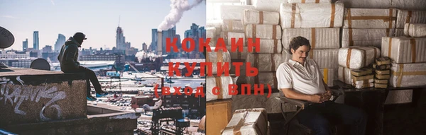 крисы Верея