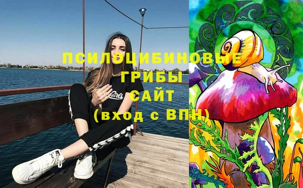 PSILOCYBIN Волоколамск