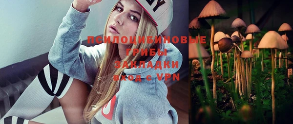 PSILOCYBIN Волоколамск