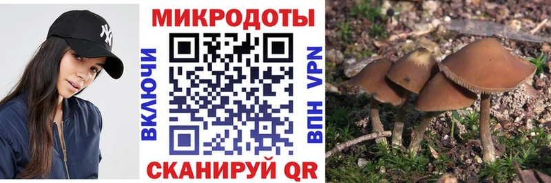 Псилоцибиновые грибы мухоморы  кракен зеркало  Заволжье 